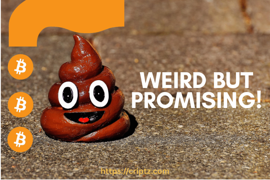 This DoopApp Pays You Crypto to Share Your Poop Pics – The Weird but Promising Future of Health Data in Web3